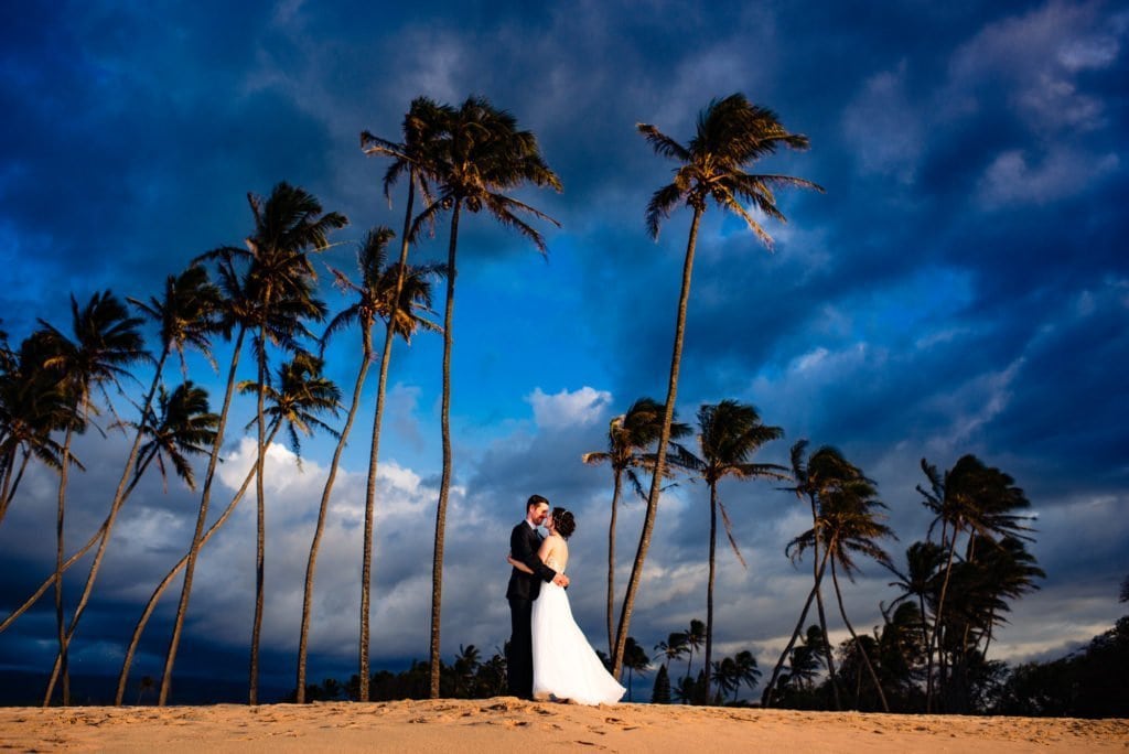 emotional maui photographer-20 - Ann Arbor Wedding Photographer Angela Nelson Photography Wedding couple kissing under palm trees