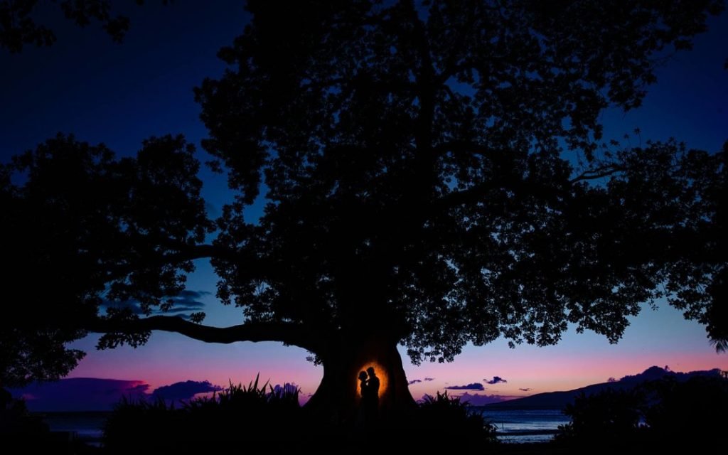 Romantic-wedding-at-olowalu-plantation-house_0038-_8ab4318f5080797b572ef572631c559e - Ann Arbor Wedding Photographer Angela Nelson Photography Couple silhouetted under tree at sunset