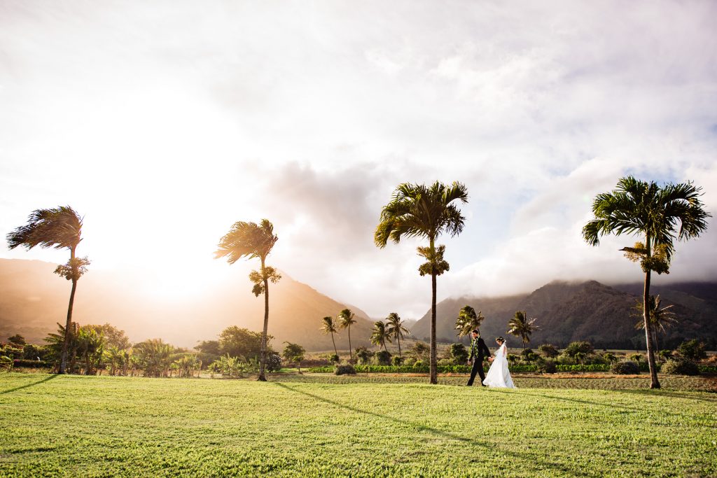 Melissa-and-Patrick-411 - Ann Arbor Wedding Photographer Angela Nelson Photography Couple walking in Maui wedding venue